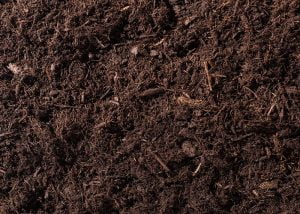 Benefits of Mushroom Compost