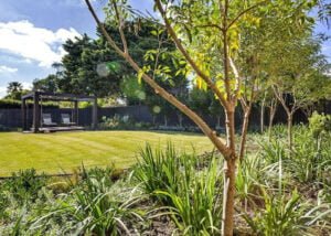 Straightcurve 0003 lawn