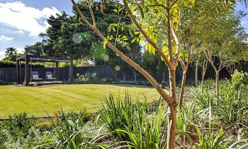 Straightcurve 0003 lawn