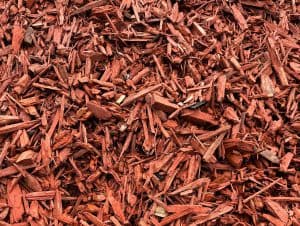 The Benefits of Using Mulch in Your Garden