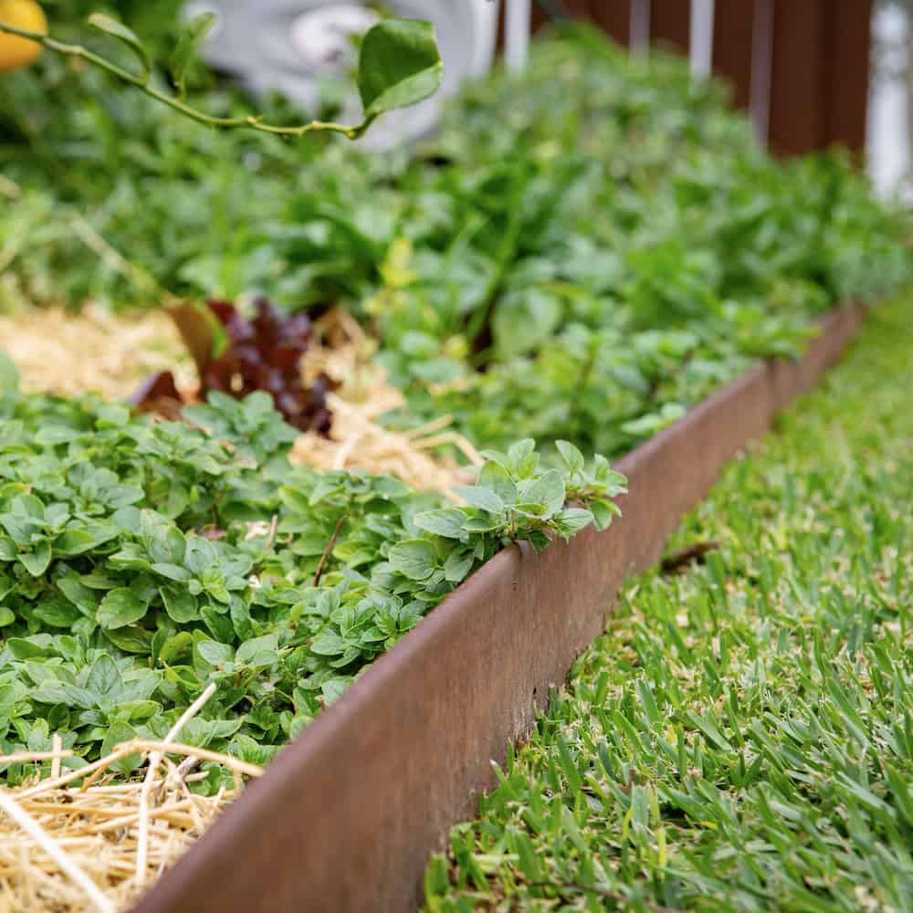 Straightcurve Rigid Garden Edging Rigidline 100 1