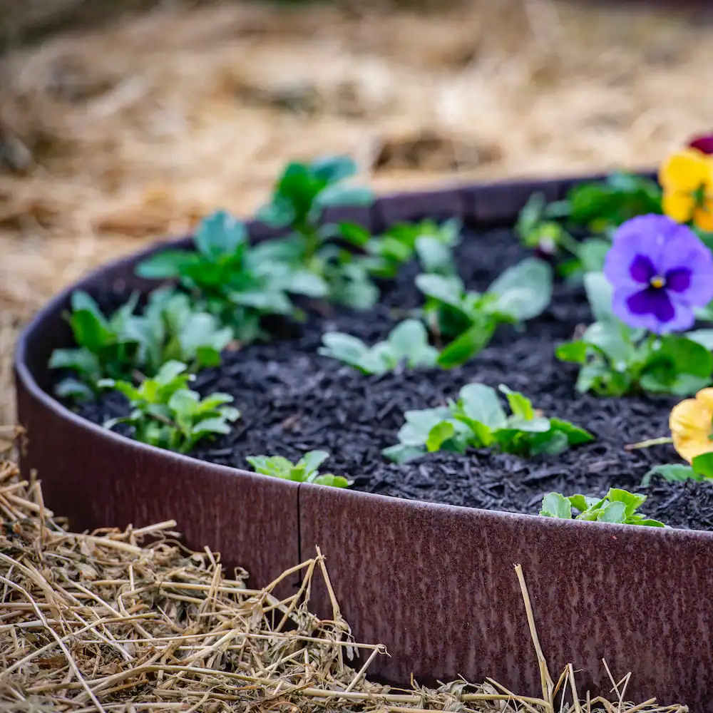 StraightcurveFlex GardenEdging Flexline100 3